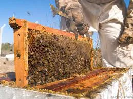 58eafb57-6911-47e4-a7db-9bd6dc03fa65