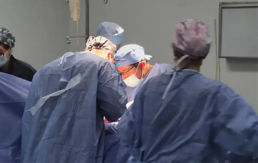 DONACION MULTIORGANICA1