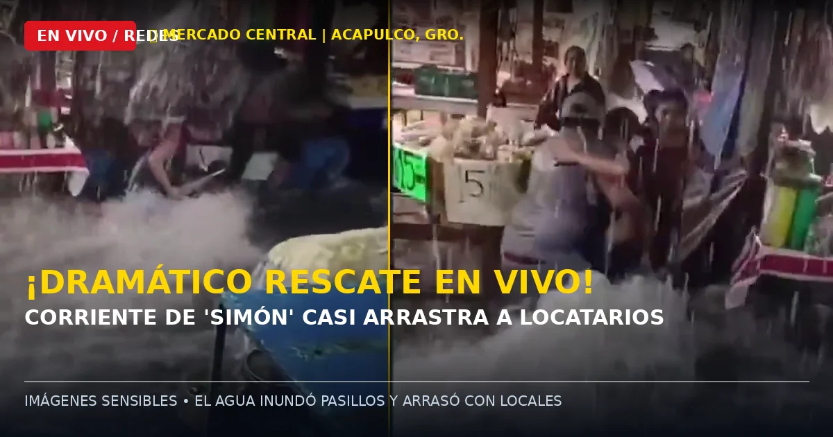 acapulco_rescate_mercado_central