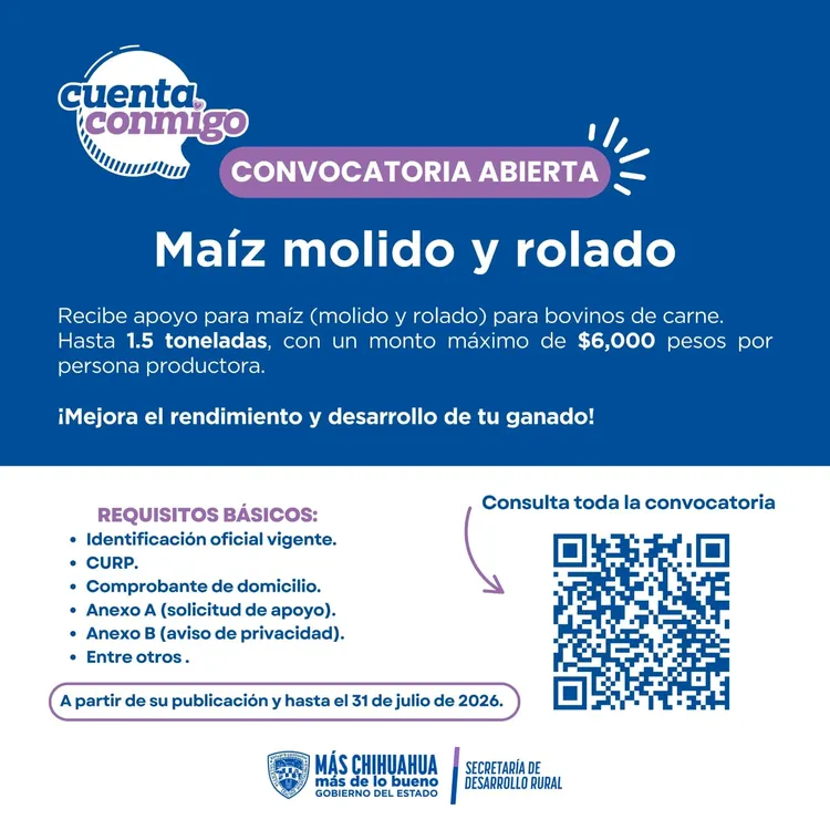 1e90b1db-2981-4754-a353-f67158d81517