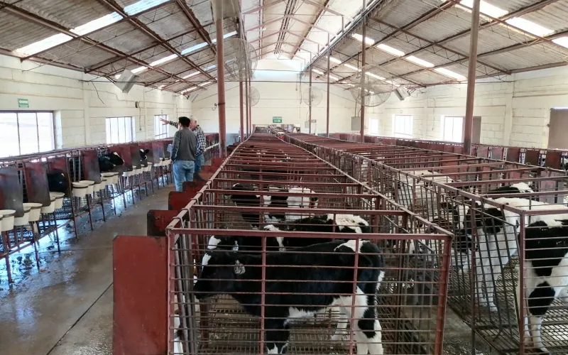SANIDAD AGROPECUARIA CHIHUAHUA (7).jpg