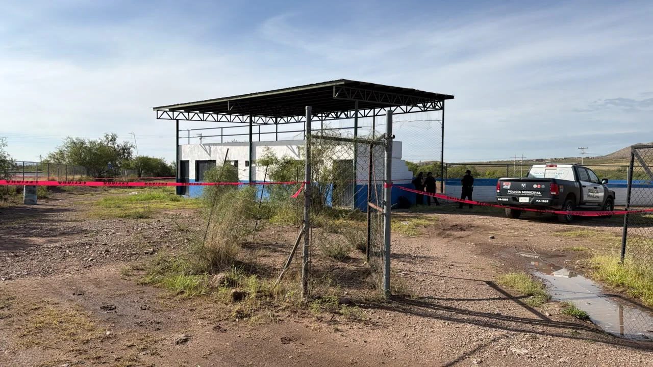 HALLAN TIRADO CAMPO1