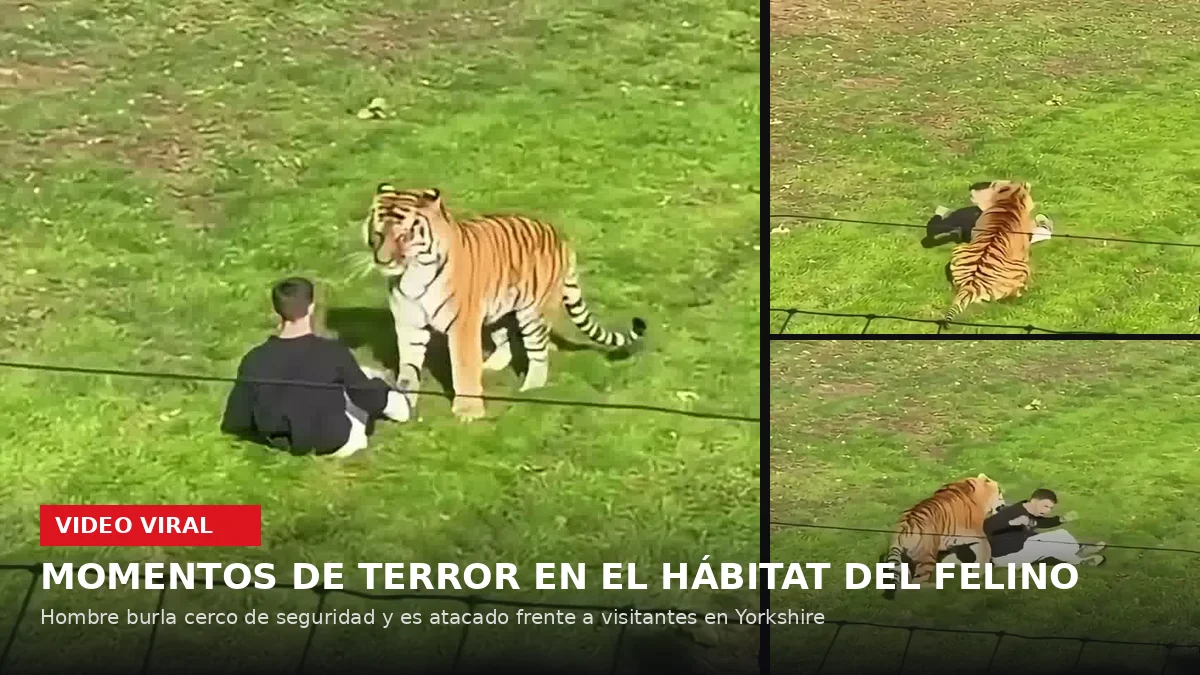 TIGRE ATACA HOMBRE