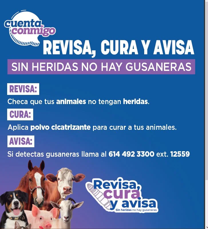 ALERTA SANITARIA PRIMER CASO GBG5