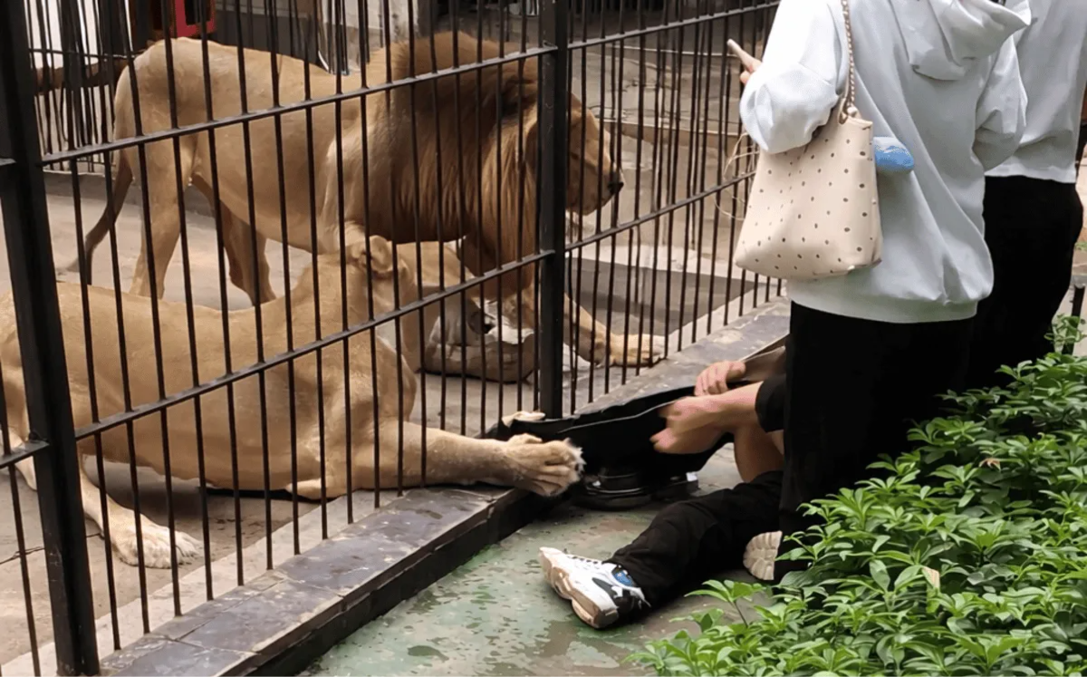 chatgpt_image_3_mar_2026-_11-28-21_a-m-_-1-.png_375113609