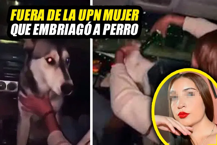 MALTRATO ANIMAL
