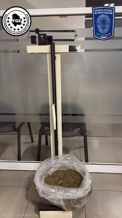 WhatsApp Image 2026-03-20 at 9.19.47 AM (1)