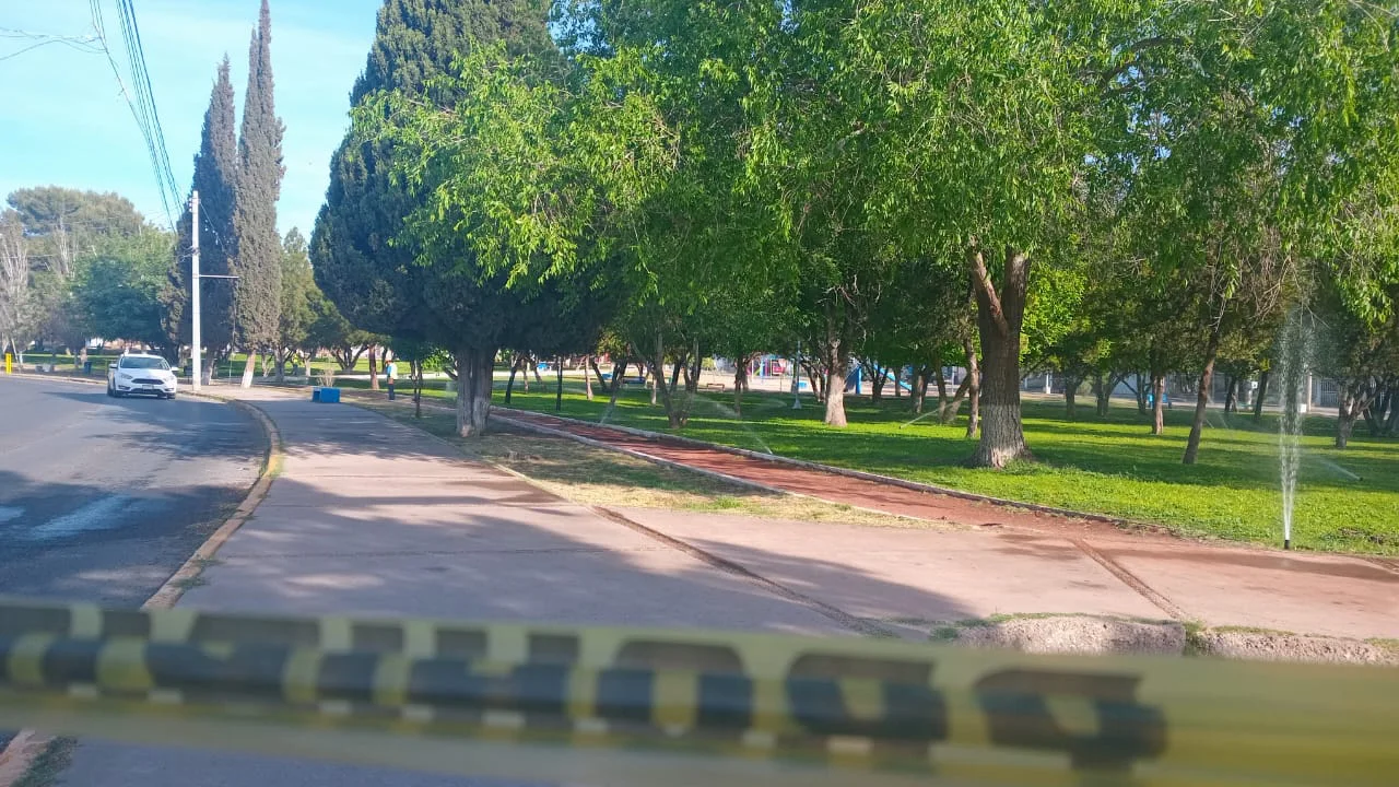 SUSPENDIDO PLATANITO