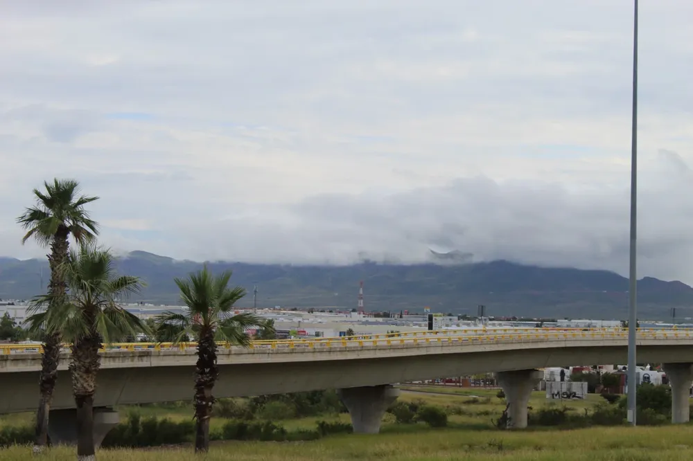 WhatsApp Image 2026-03-16 at 11.01.27 AM