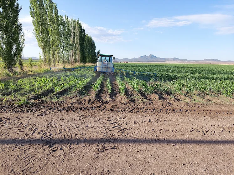 e4b9a2f5-7818-489b-a908-f54f822e4795