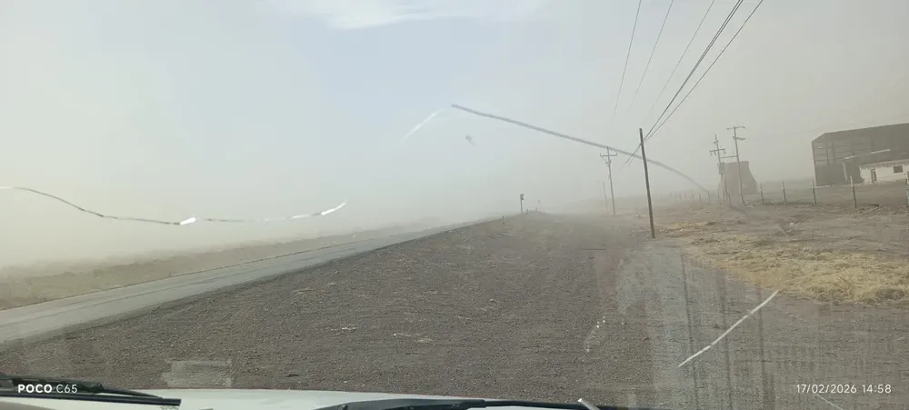 WhatsApp Image 2026-03-12 at 1.23.09 PM