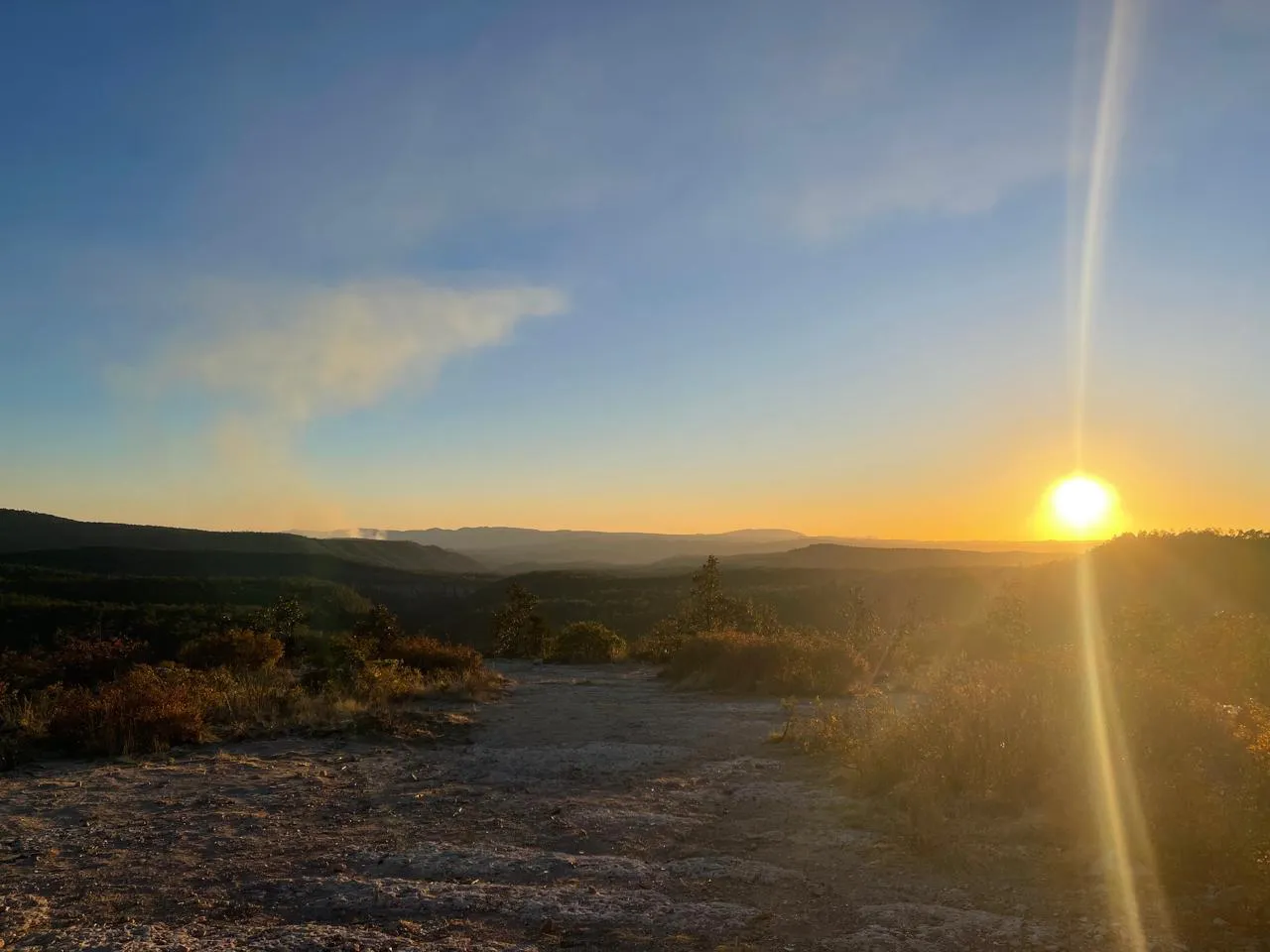 WhatsApp Image 2025-12-12 at 3.57.41 PM