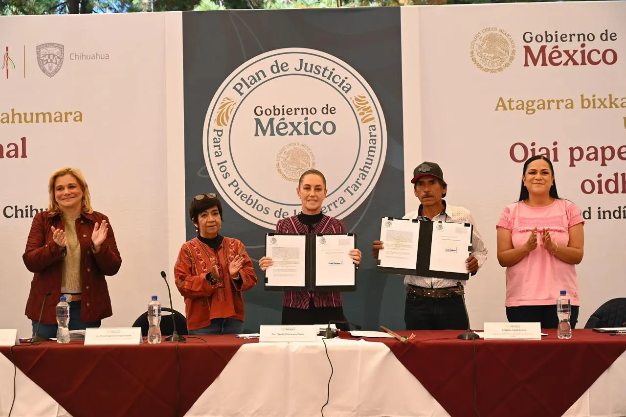 WhatsApp Image 2025-12-13 at 3.06.04 PM