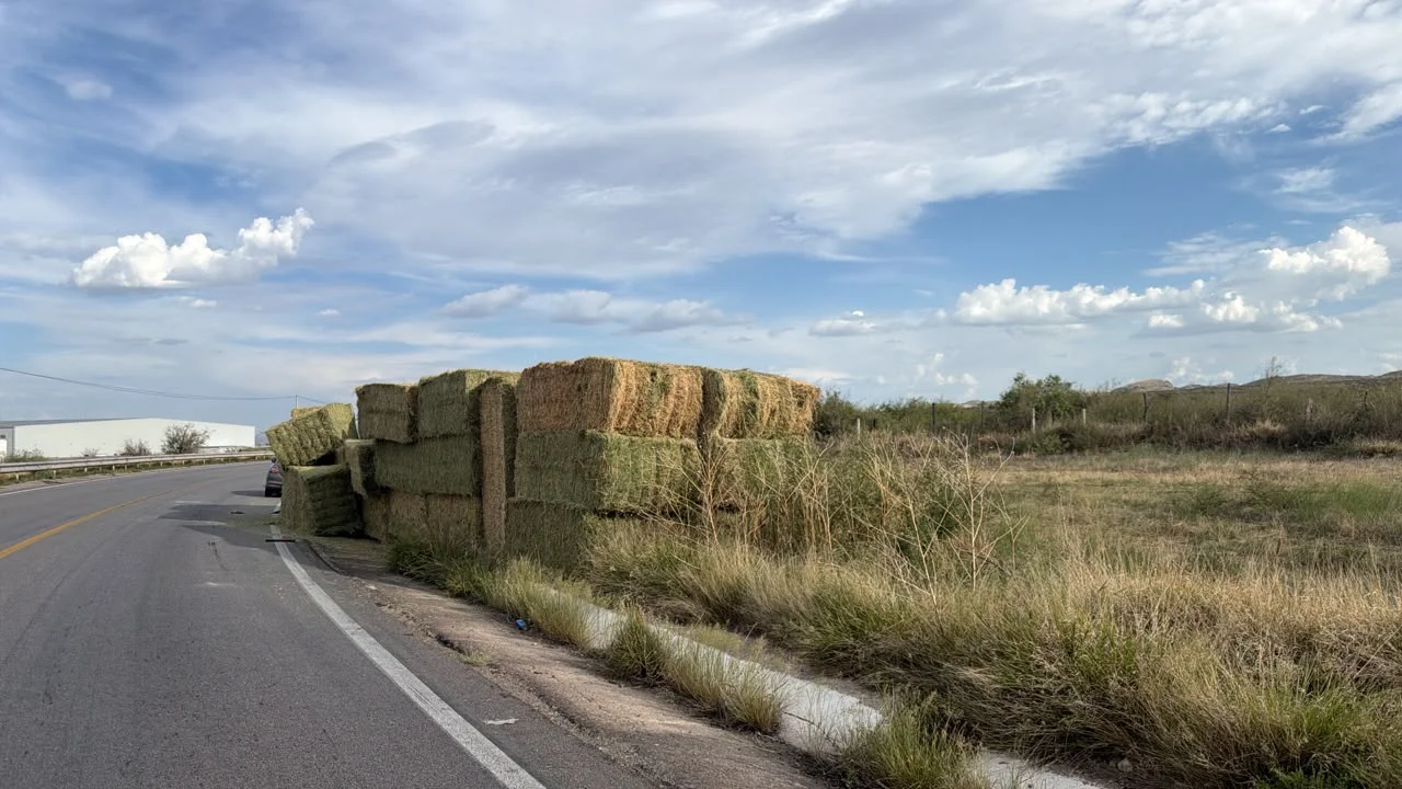 ABANDONA PACAS PERICO2