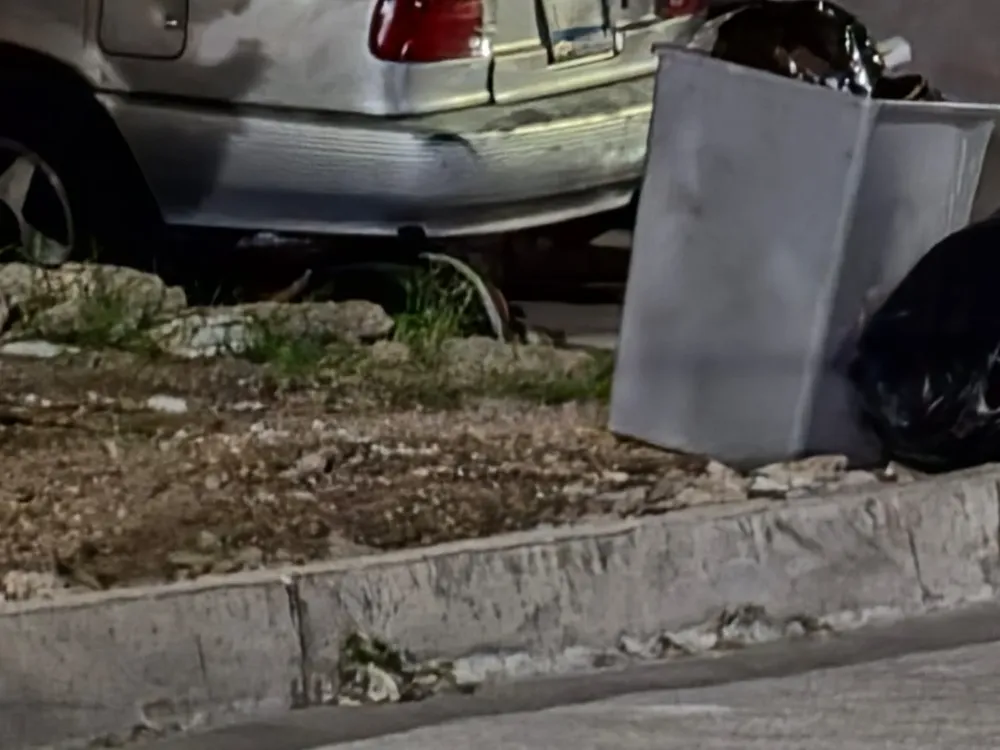 WhatsApp Image 2026-03-27 at 10.43.36 PM