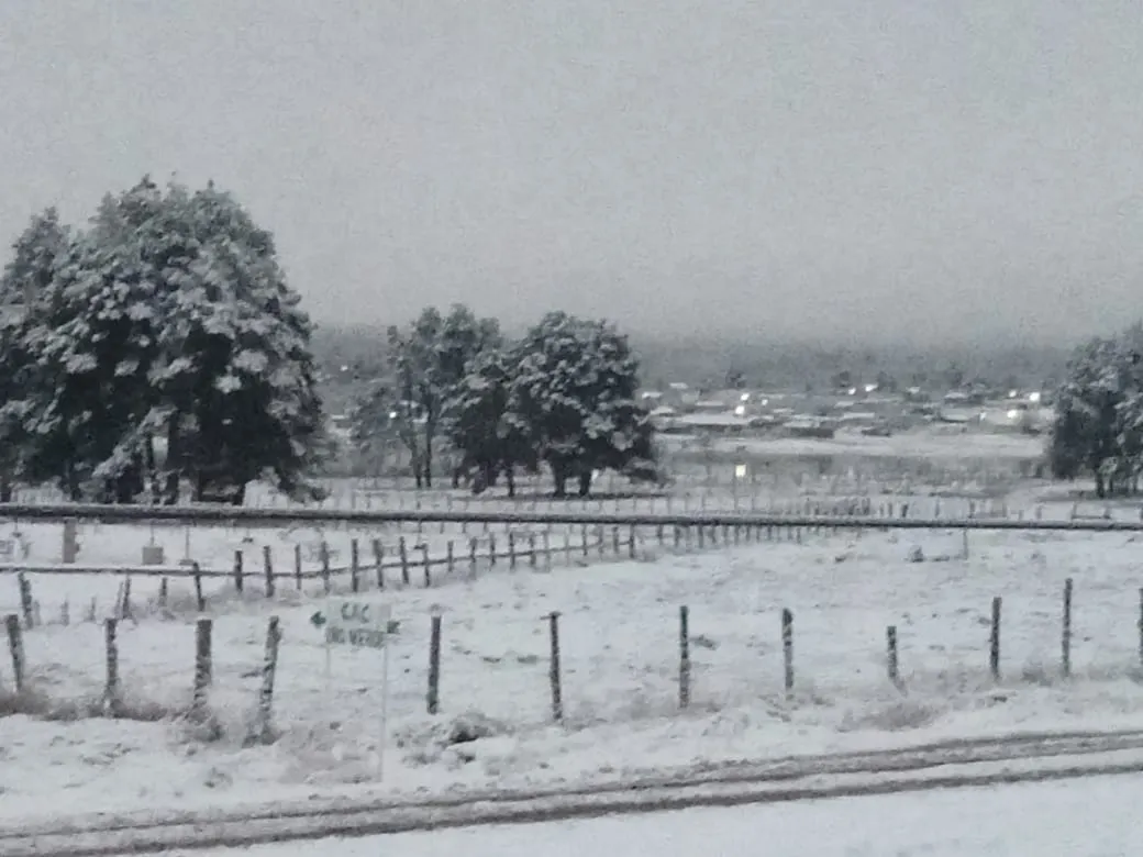 REGISTRAN NEVADA 5 MUNICIPIOS2