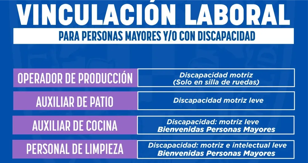 EMPLEO DISCAPACIDAD