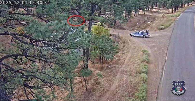 WhatsApp Image 2025-12-06 at 10.53.45 AM