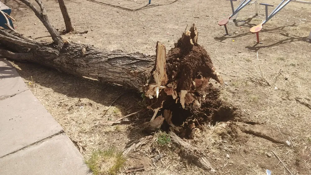 FUERTES VIENTOS CUAUHTEMOC1