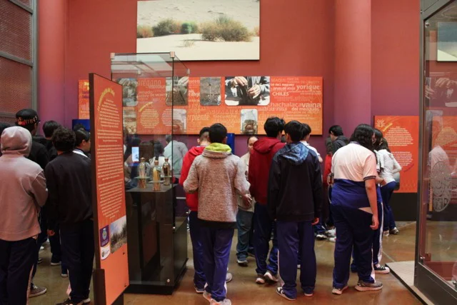 c60c0c84-8b54-418e-9f80-ba1ab49c5a92