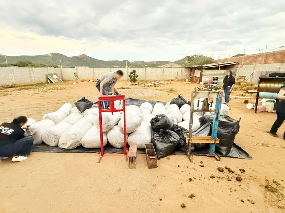 adc0da3d-2cdf-4198-bd29-d999ed15f335