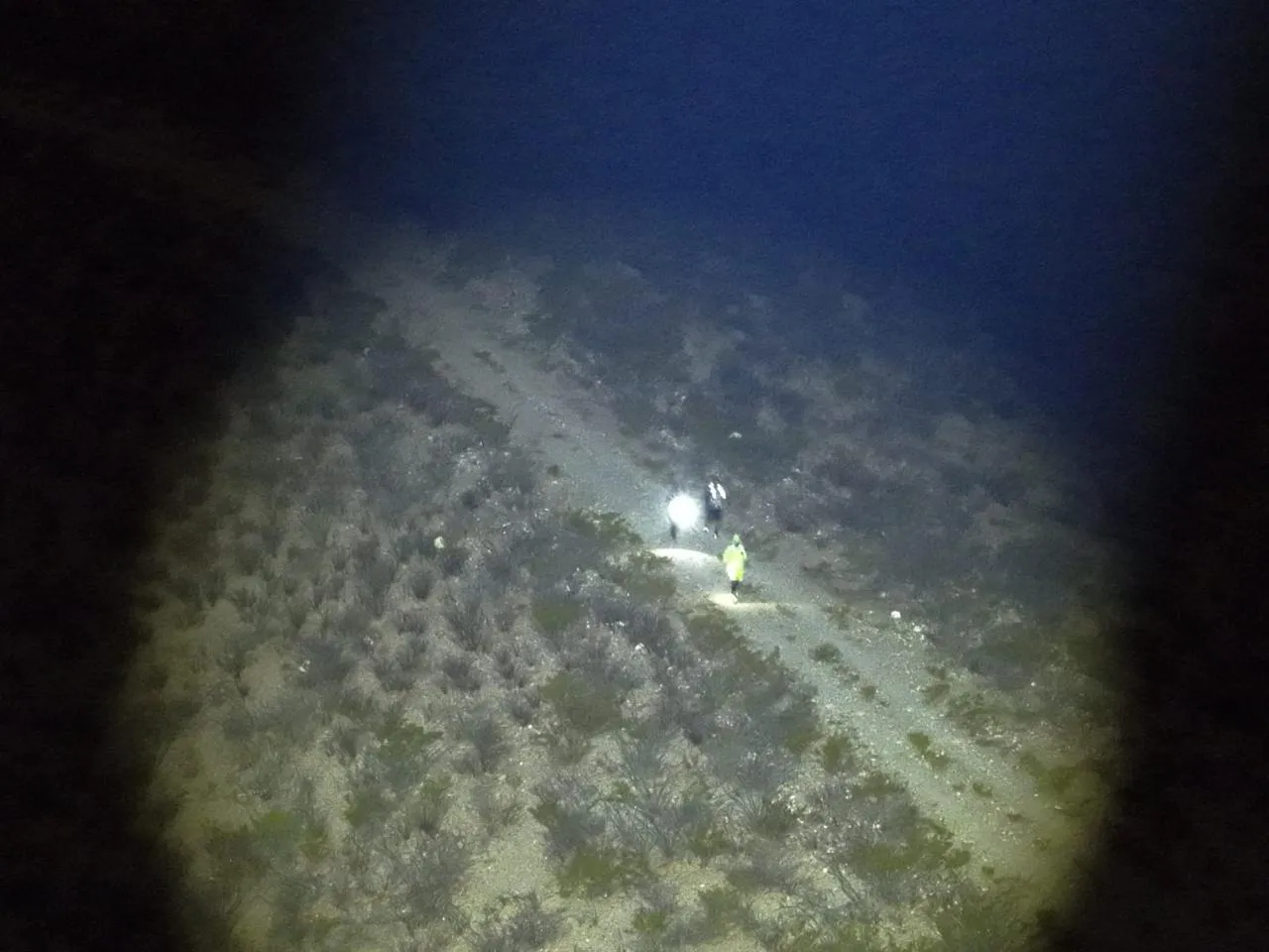 drones localizacion extraviados rosales2