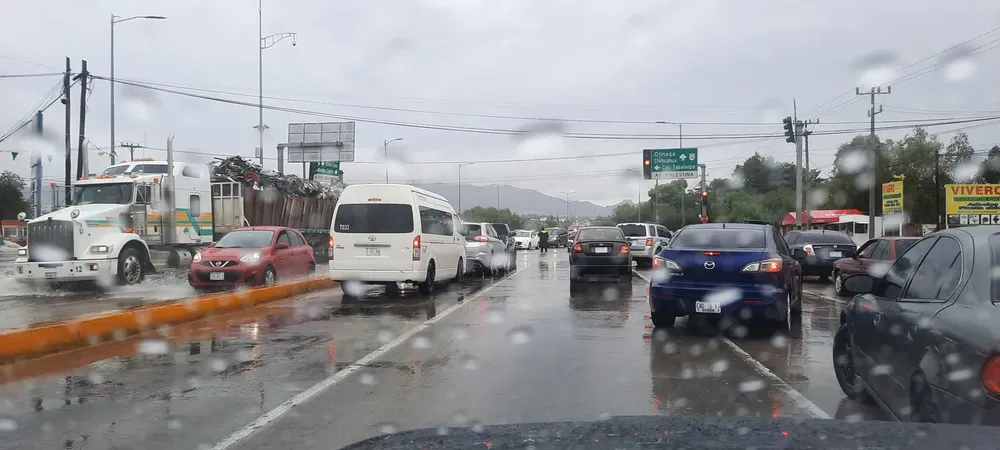 PRIMERAS LLUVIAS 2026_1