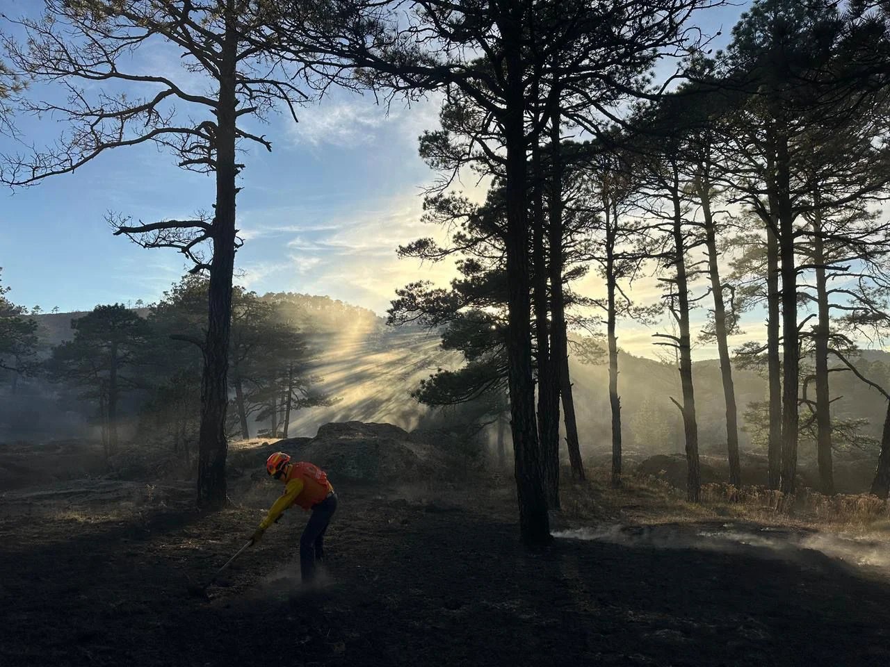 9acea06f-e57b-4c20-a0c1-34a787e34c83