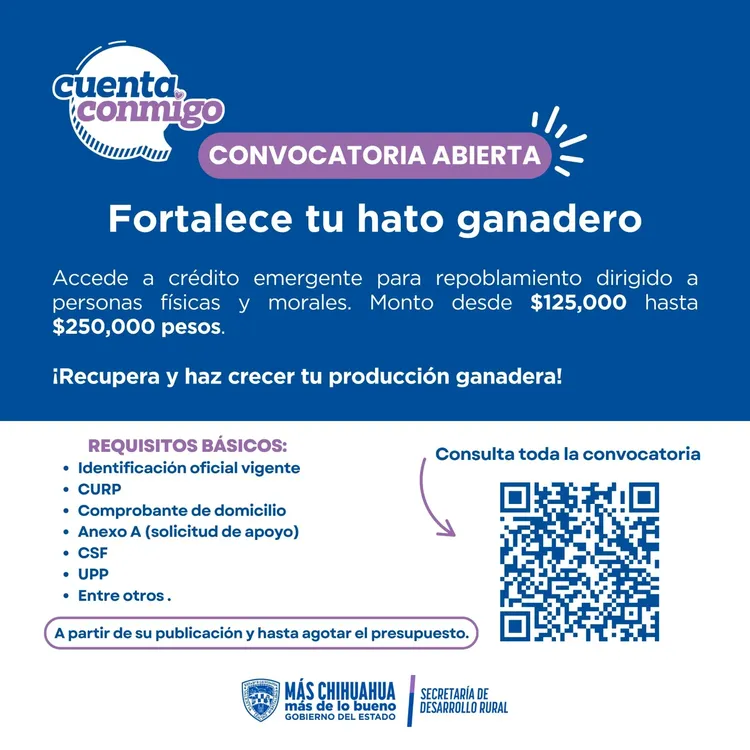 e2db3658-d2db-496f-942a-78489bf77cf0