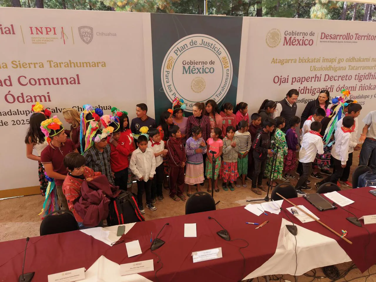 WhatsApp Image 2025-12-13 at 3.06.05 PM (1)