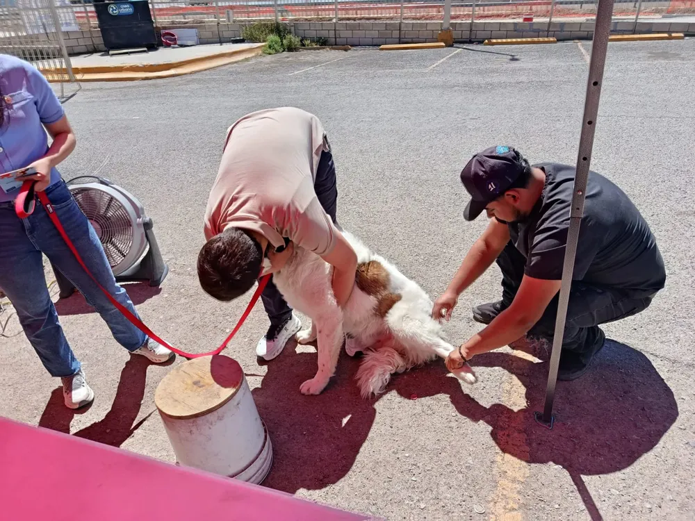 1c18bf30-3153-49aa-b701-fa69f0b4c72e