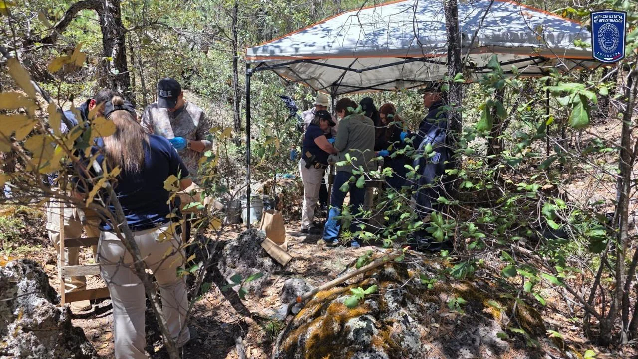 5832ac63-04ef-47e1-826e-e7d829196918