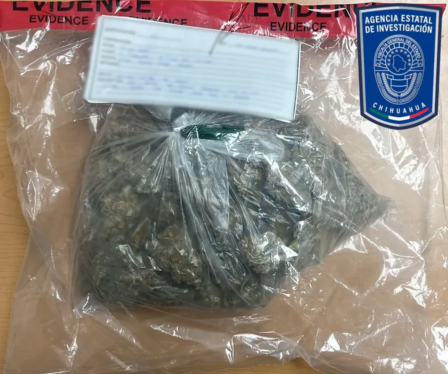 ASEGURAN WAX MARIGUANA1