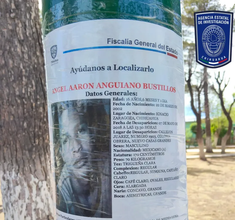 0dcbf983-f68d-4f3e-b56d-e9e38a605000