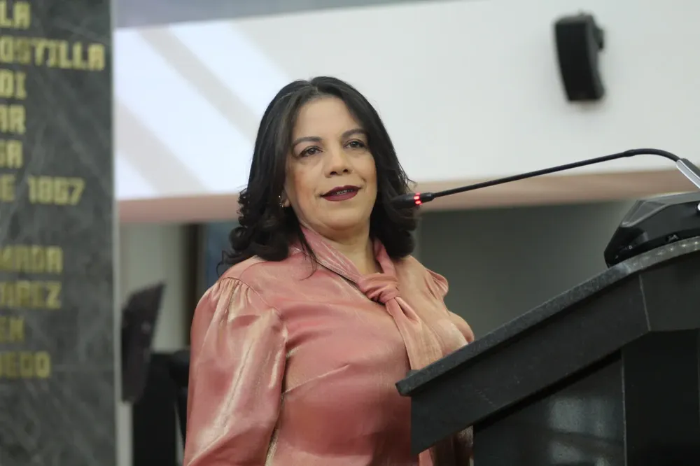 PIDE CAMBIOS LEY MOVILIDAD