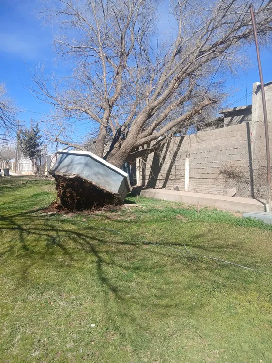 FUERTES VIENTOS CUAUHTEMOC2