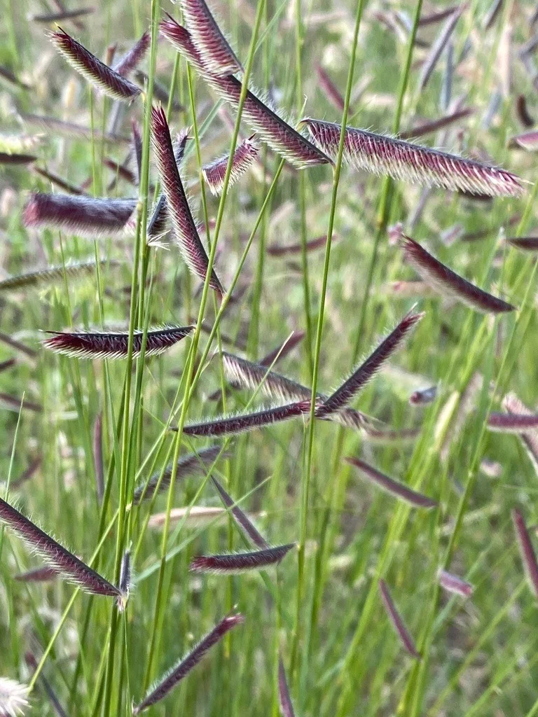 5a863509-f162-48ac-92d5-4614ed3b2441