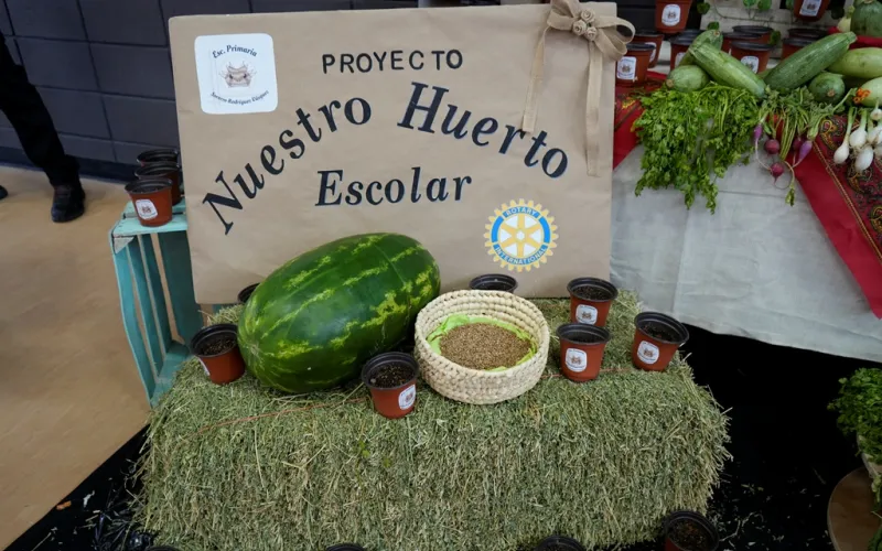 huerto-escolar (8).JPG