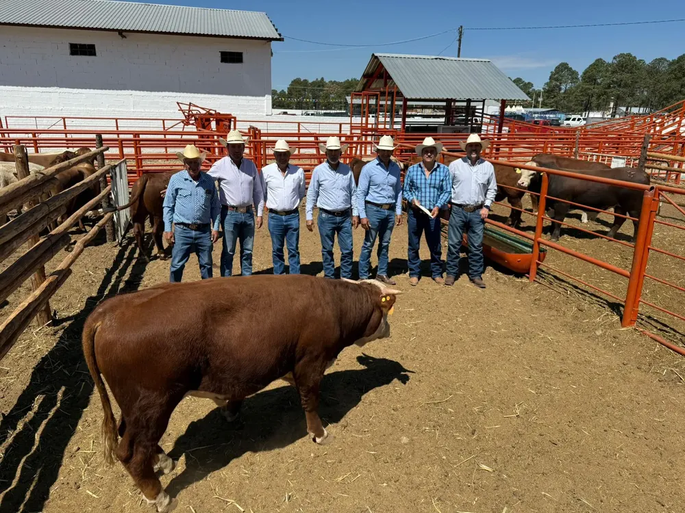 invierte genetica ganado2