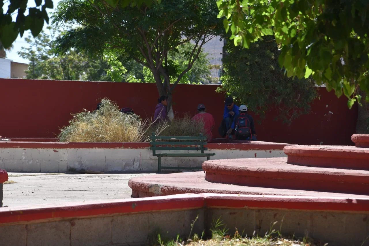 MALVIVIENTES 1