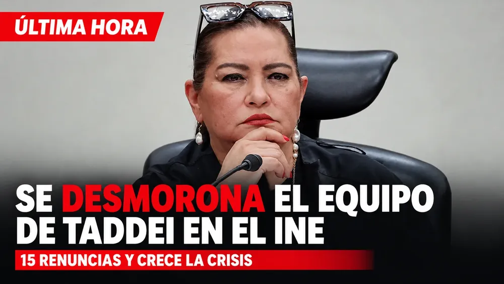 SE DESMORONA INE