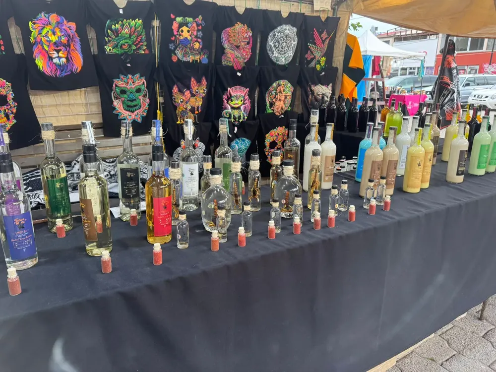 FERIA ALDAMA GENERA3