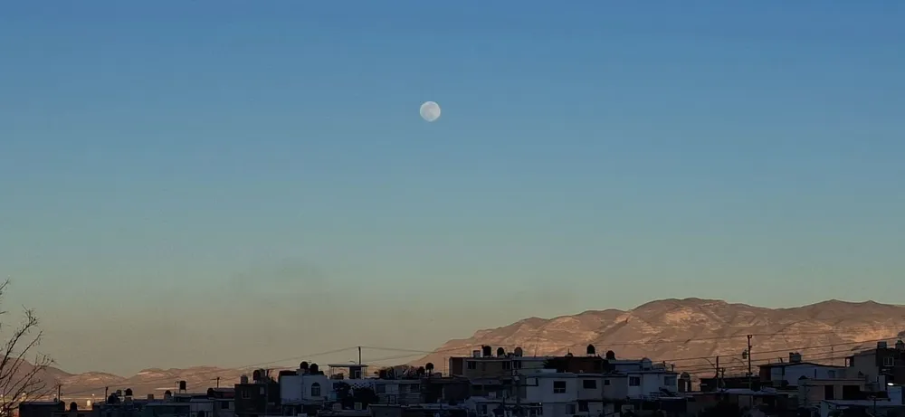 WhatsApp Image 2026-03-13 at 11.30.06 AM