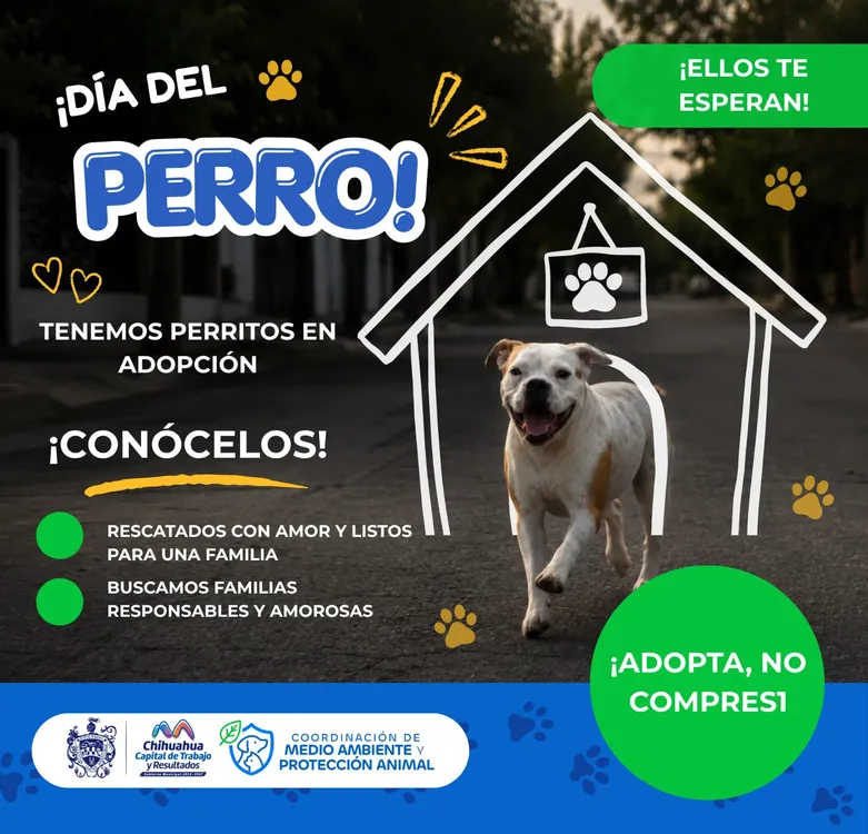 31c0b6da-70fe-4a38-8990-db4b23d7ff95