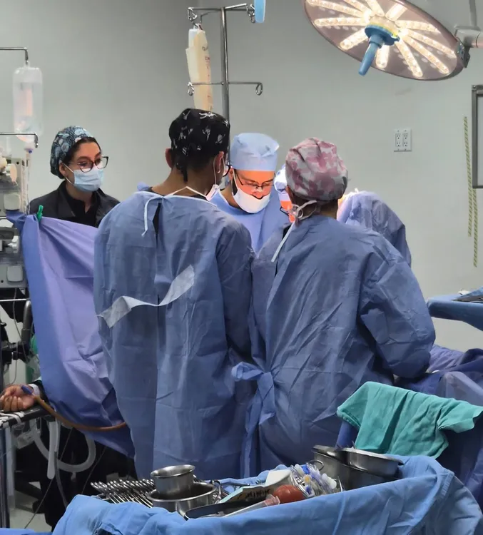 DONACION MULTIORGANICA2