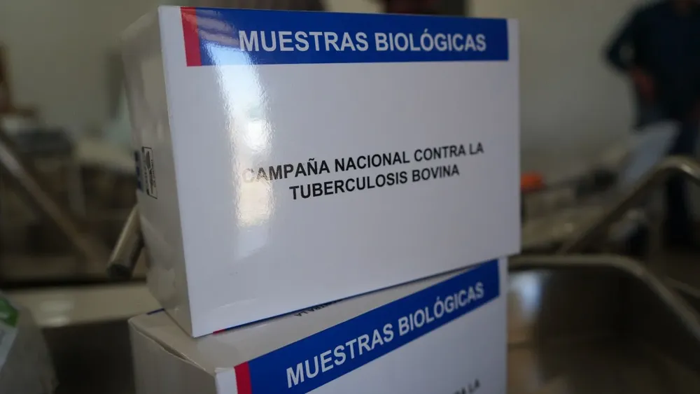 1e179da0-404f-4bfe-aaed-6d64125aba07