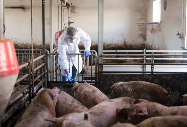 93f30286-a4ff-42c4-8b81-c9b6fb3c7d9d