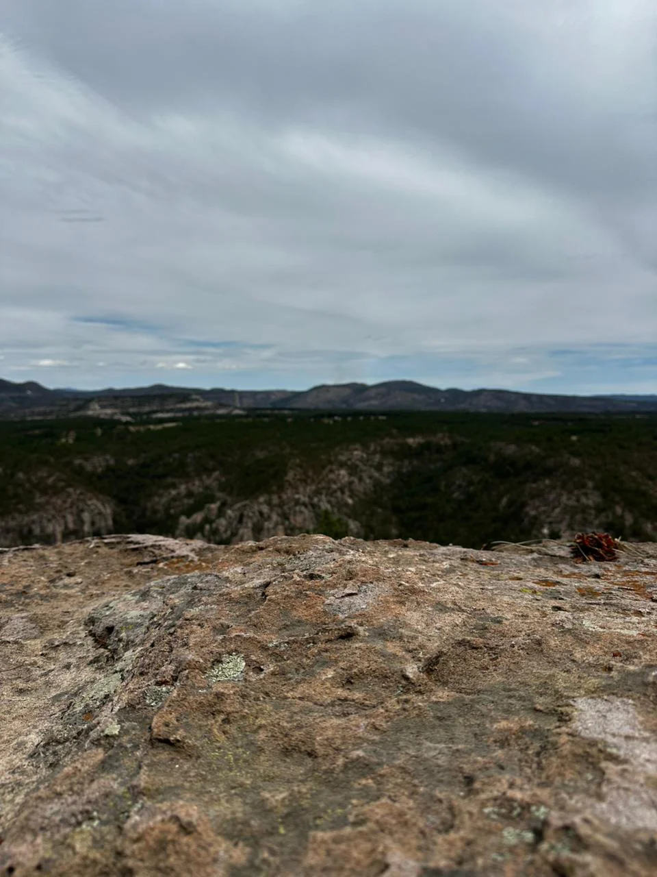 5dc27902-e274-492e-a53a-203d676b6b59