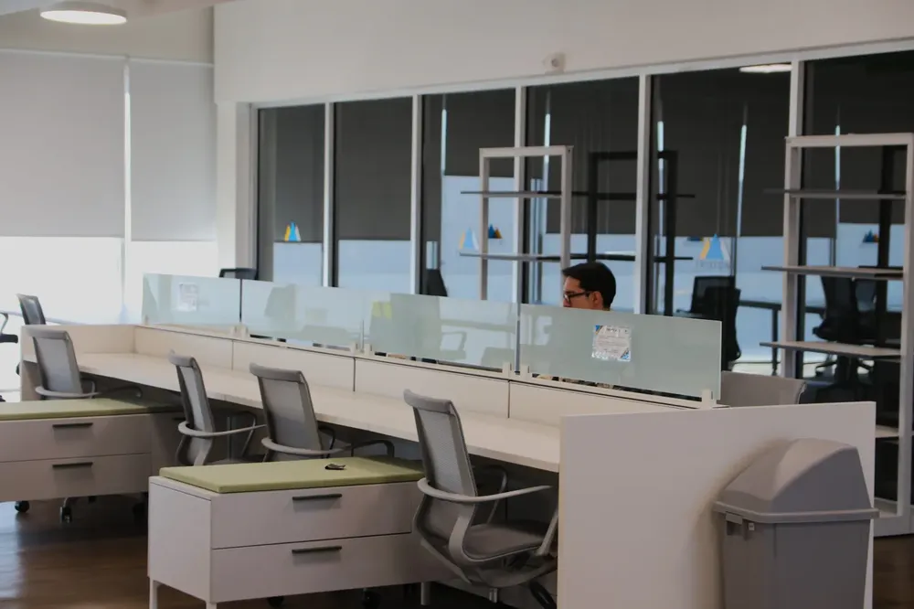 IMPULSA GOBIERNO EMPLEOS4