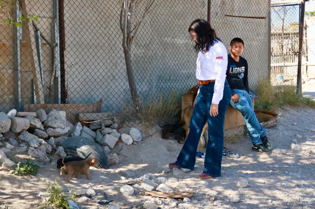 WhatsApp Image 2026-03-16 at 8.18.25 AM